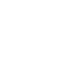 AS-1 emblem