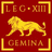 13L_G emblem