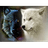 ESPE emblem