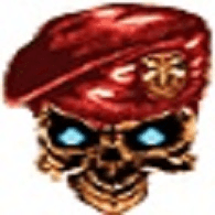 NGDVI emblem