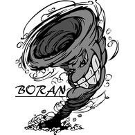 BORAN emblem
