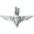 -TER- emblem