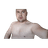 FAPPA emblem
