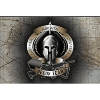 IE_LO emblem