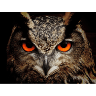 SYMU1 emblem
