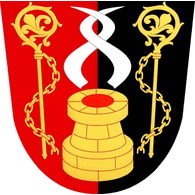 DSLS emblem