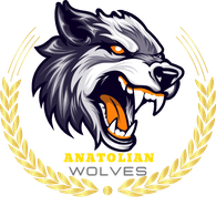 ANWO2 emblem