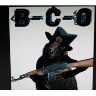 -BCO- emblem