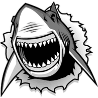 SK1CZ emblem