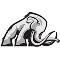 P-GEO emblem