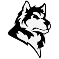 DLS emblem