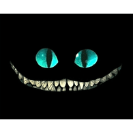 WARNS emblem