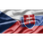 CZSLT emblem
