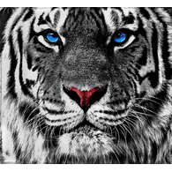 _NRH_ emblem