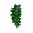 ZW1AD emblem