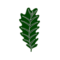 ZW1AD emblem