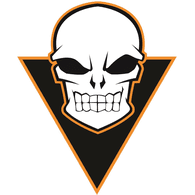 DE_FF emblem