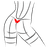 NAUTY emblem