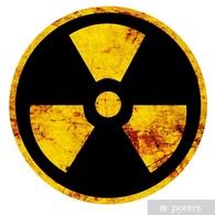 PL-IN emblem