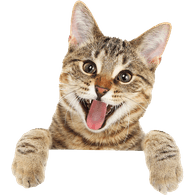 FTTYU emblem