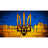 RIDNA emblem