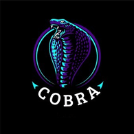 C0BRA emblem