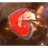 XKOX emblem
