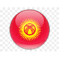 ABIRT emblem