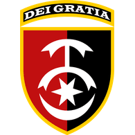 DEI-G emblem