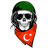 HISAR emblem