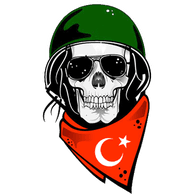 HISAR emblem