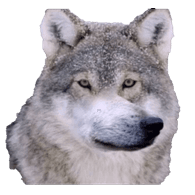 ZERNO emblem
