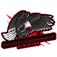 _DSS emblem