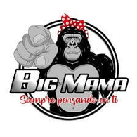 BIGMA emblem