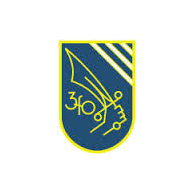 3FO emblem