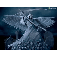 -P_D- emblem