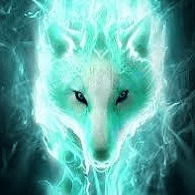 __WS_ emblem