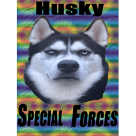 H_S_F emblem