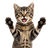 MI-AU emblem