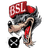 -BSL- emblem