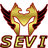 SEVI emblem