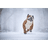 OL_SD emblem