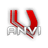 ANVI emblem