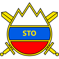 1STO emblem