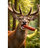 BKZJF emblem