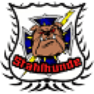 FRI emblem