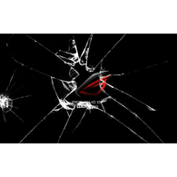 LAPPI emblem