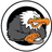 NSZ- emblem