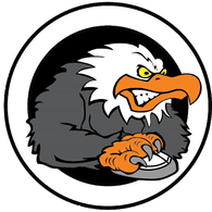 NSZ- emblem