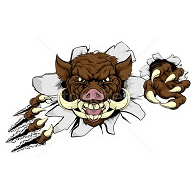 1MPV emblem